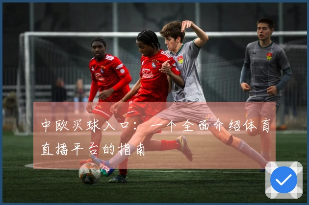 中欧买球入口：一个全面介绍体育直播平台的指南