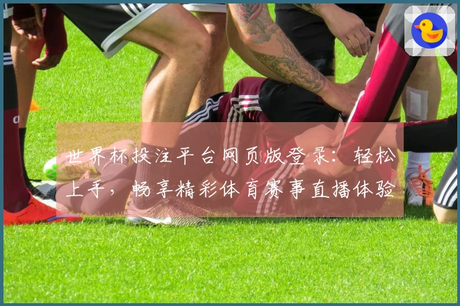 世界杯投注平台网页版登录：轻松上手，畅享精彩体育赛事直播体验