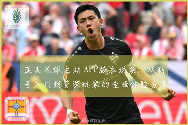 亚美买球主站 APP版本说明：从新手入门到资深玩家的全面体验分享