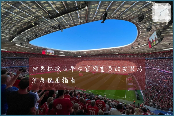 世界杯投注平台官网首页的安装方法与使用指南