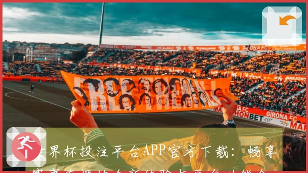 世界杯投注平台APP官方下载：畅享赛事直播的全新体验与平台功能介绍