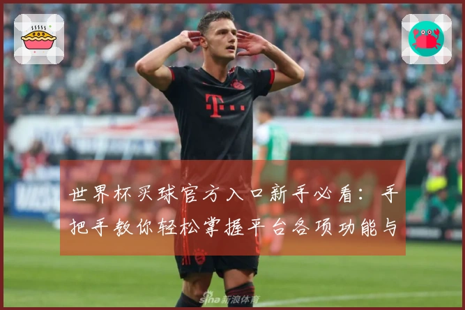 世界杯买球官方入口新手必看：手把手教你轻松掌握平台各项功能与使用技巧
