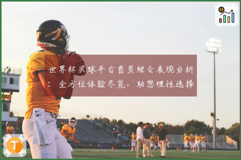 世界杯买球平台首页综合表现分析：全方位体验尽览，助您理性选择
