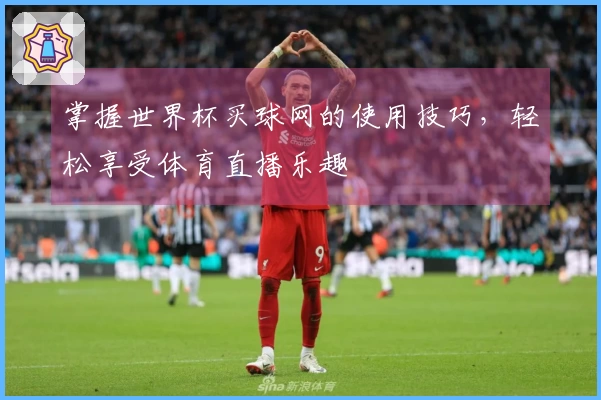 掌握世界杯买球网的使用技巧,轻松享受体育直播乐趣
