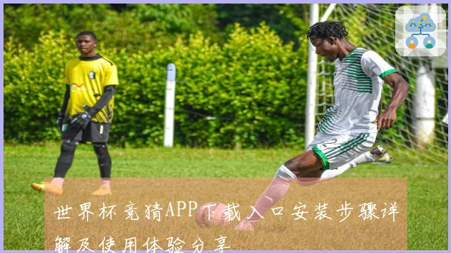 世界杯竞猜APP下载入口安装步骤详解及使用体验分享