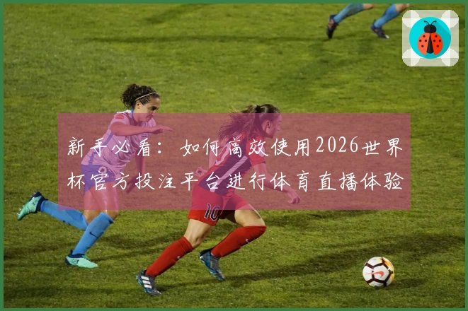 新手必看：如何高效使用2026世界杯官方投注平台进行体育直播体验