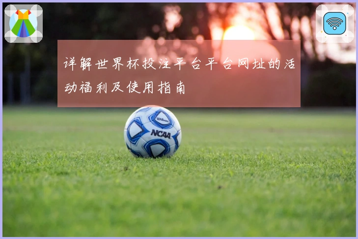 详解世界杯投注平台平台网址的活动福利及使用指南