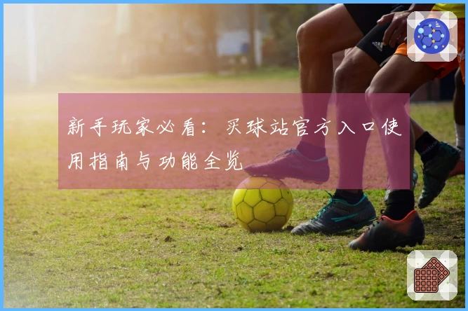 新手玩家必看：买球站官方入口使用指南与功能全览