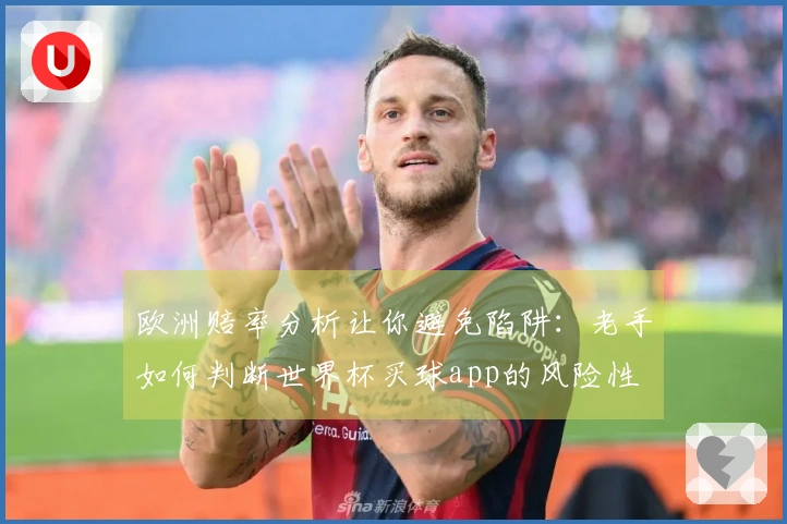 欧洲赔率分析让你避免陷阱：老手如何判断世界杯买球app的风险性