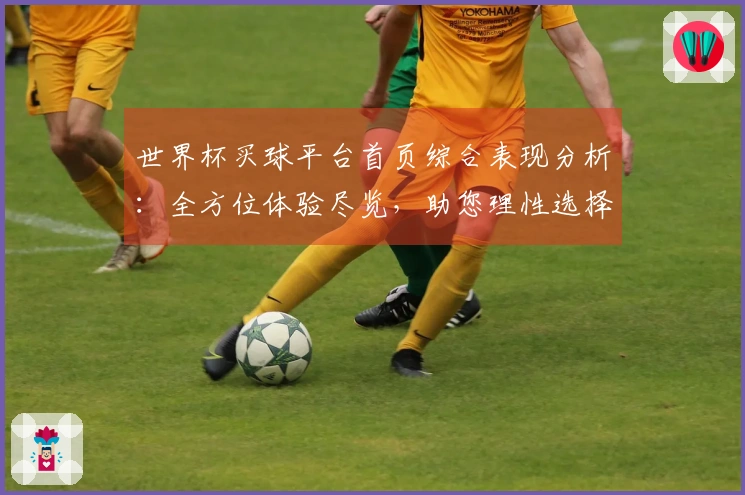 世界杯买球平台首页综合表现分析：全方位体验尽览，助您理性选择