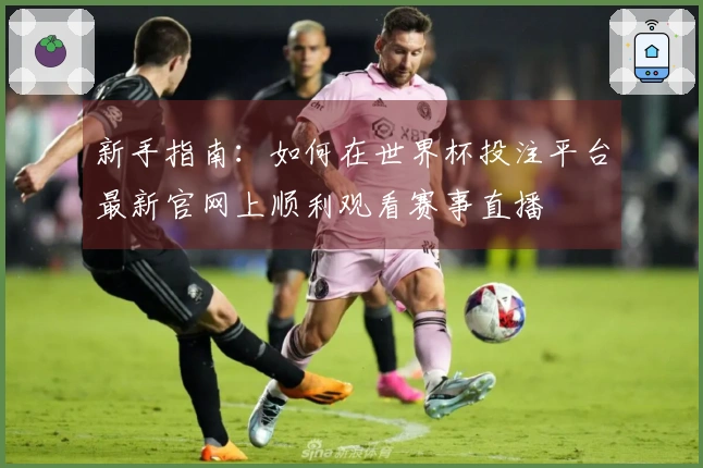 新手指南：如何在世界杯投注平台最新官网上顺利观看赛事直播