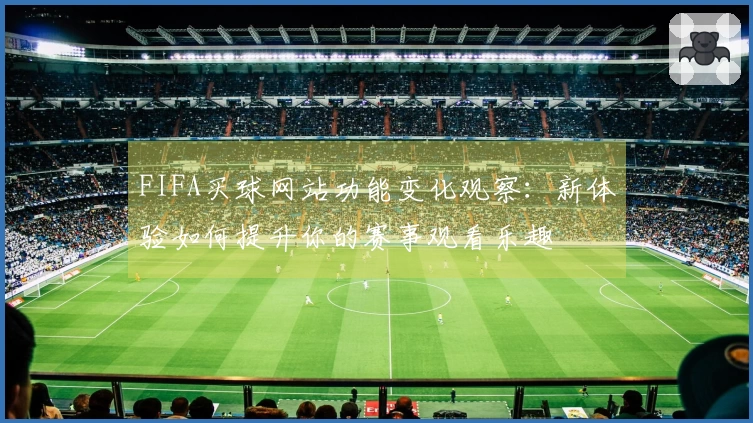 FIFA买球网站功能变化观察：新体验如何提升你的赛事观看乐趣