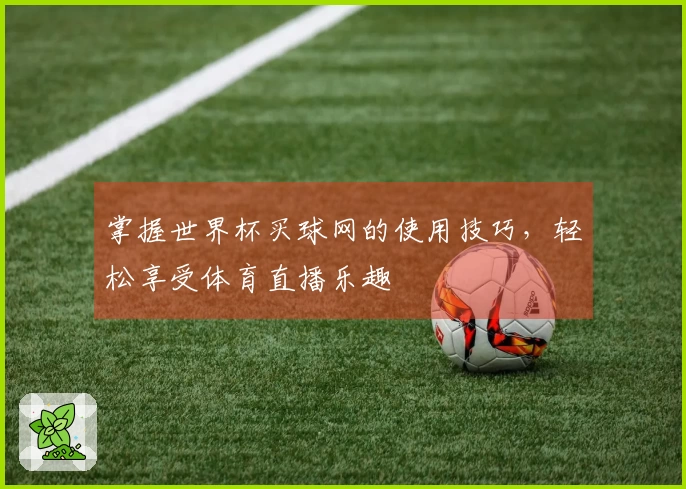掌握世界杯买球网的使用技巧，轻松享受体育直播乐趣