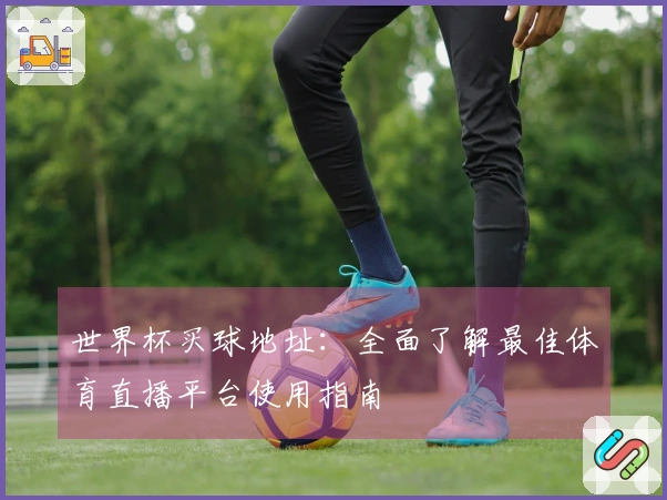 世界杯买球地址：全面了解最佳体育直播平台使用指南